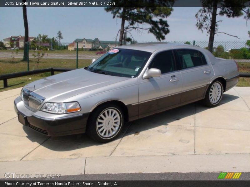 Silver Birch Metallic / Dove 2005 Lincoln Town Car Signature