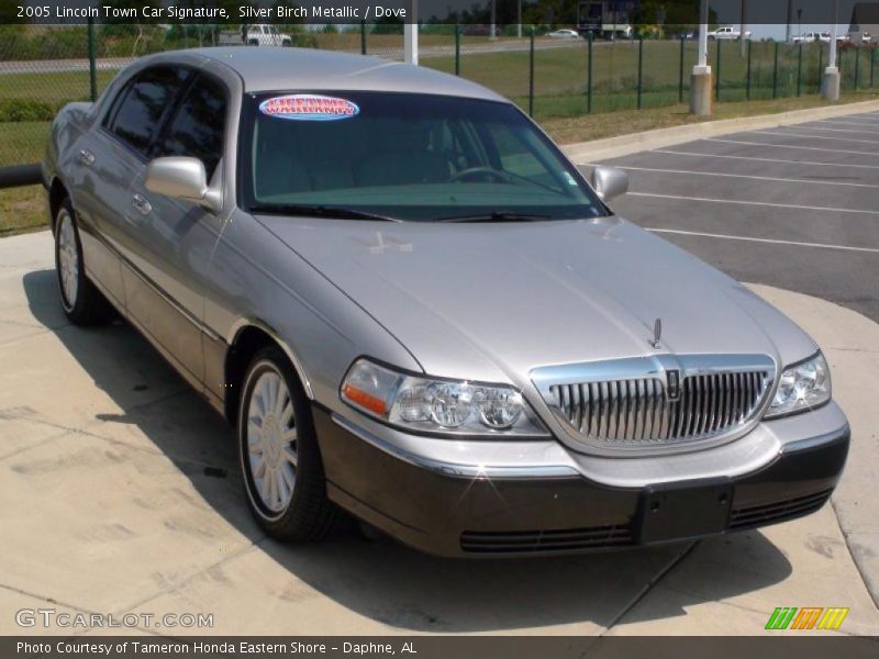 Silver Birch Metallic / Dove 2005 Lincoln Town Car Signature