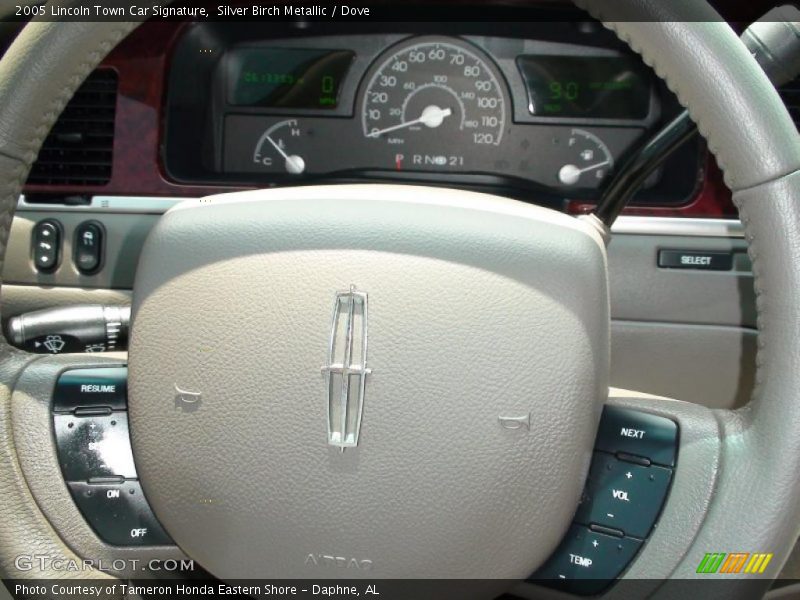 Silver Birch Metallic / Dove 2005 Lincoln Town Car Signature