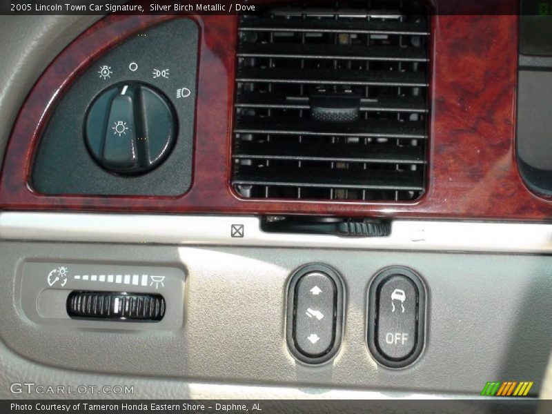 Silver Birch Metallic / Dove 2005 Lincoln Town Car Signature