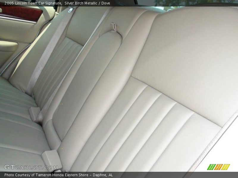 Silver Birch Metallic / Dove 2005 Lincoln Town Car Signature