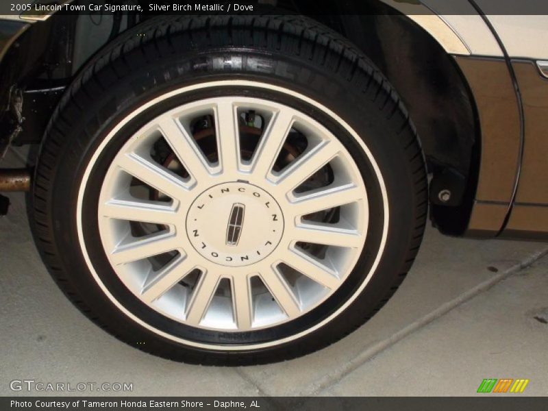Silver Birch Metallic / Dove 2005 Lincoln Town Car Signature