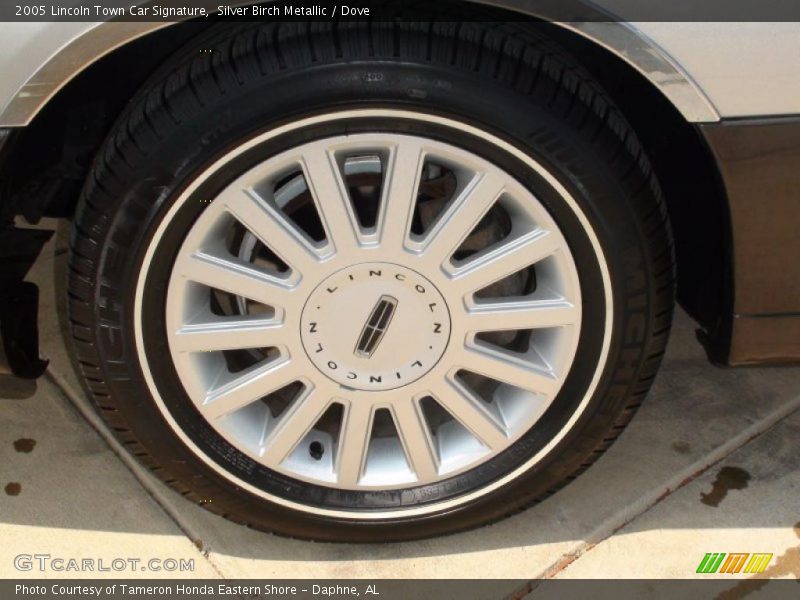 Silver Birch Metallic / Dove 2005 Lincoln Town Car Signature