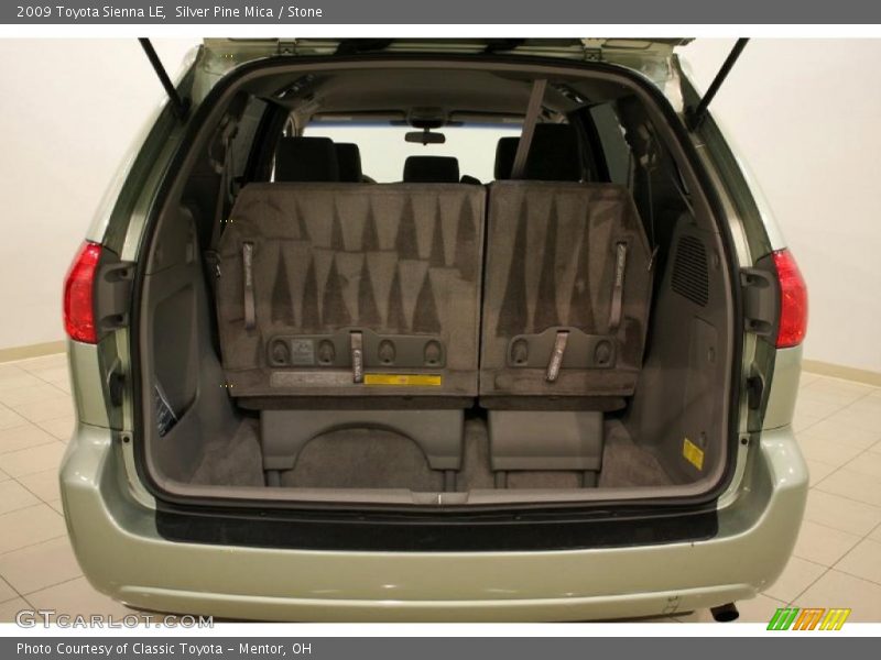 Silver Pine Mica / Stone 2009 Toyota Sienna LE