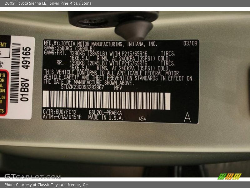 Silver Pine Mica / Stone 2009 Toyota Sienna LE