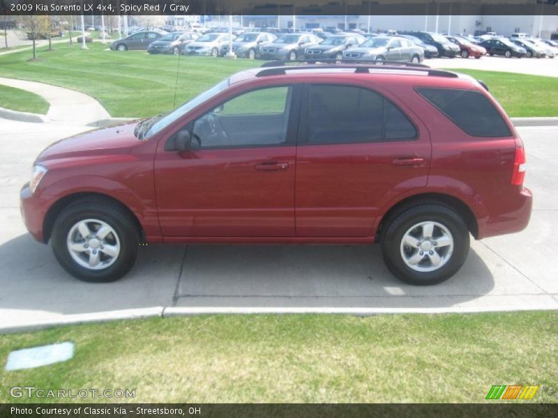 Spicy Red / Gray 2009 Kia Sorento LX 4x4