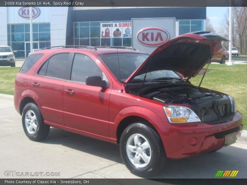 Spicy Red / Gray 2009 Kia Sorento LX 4x4