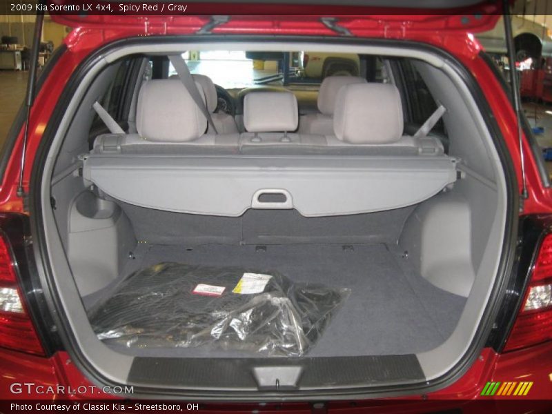 Spicy Red / Gray 2009 Kia Sorento LX 4x4