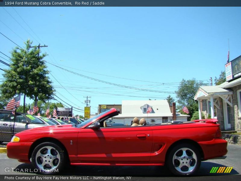 Rio Red / Saddle 1994 Ford Mustang Cobra Convertible