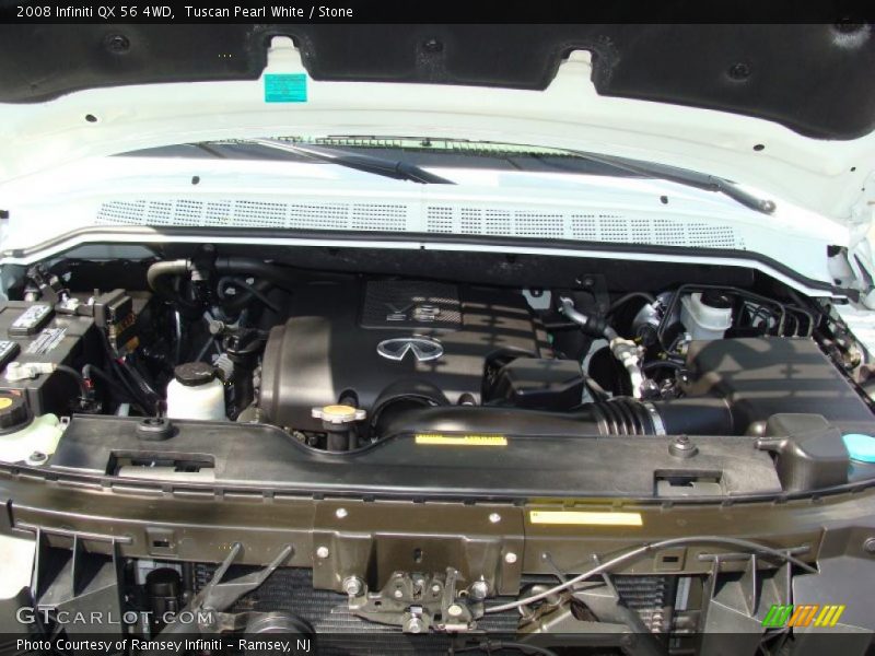Tuscan Pearl White / Stone 2008 Infiniti QX 56 4WD