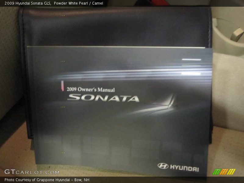 Powder White Pearl / Camel 2009 Hyundai Sonata GLS