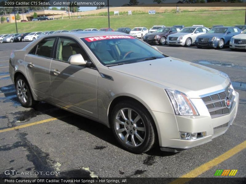 Gold Mist / Cashmere/Cocoa 2009 Cadillac CTS Sedan