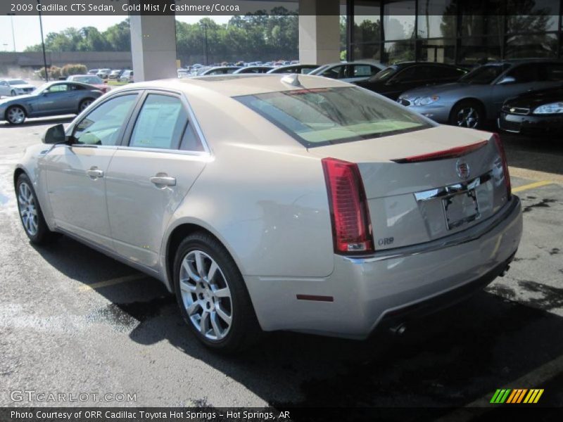 Gold Mist / Cashmere/Cocoa 2009 Cadillac CTS Sedan