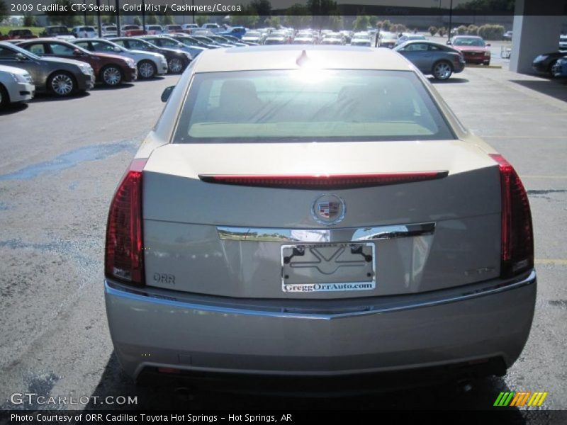 Gold Mist / Cashmere/Cocoa 2009 Cadillac CTS Sedan