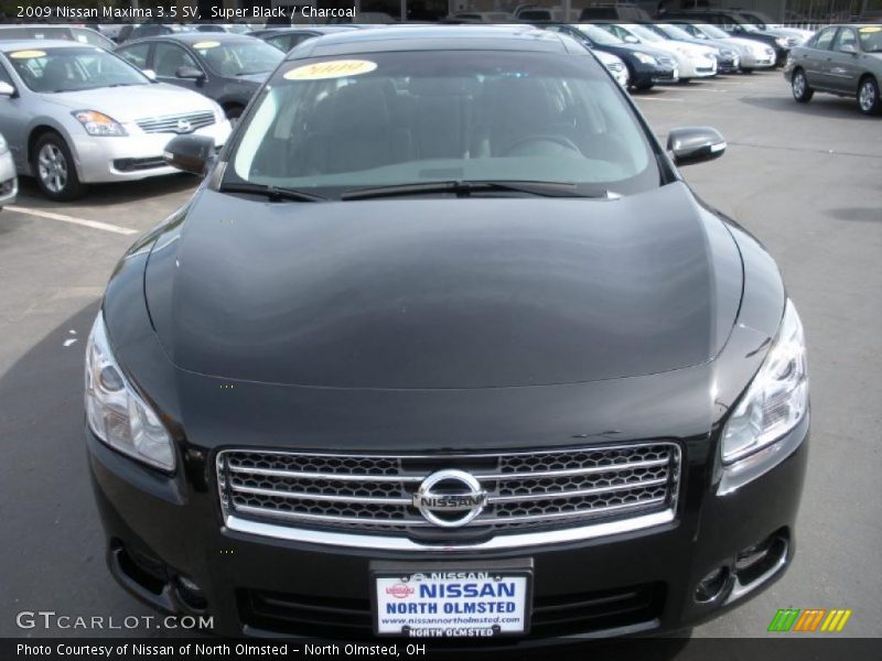 Super Black / Charcoal 2009 Nissan Maxima 3.5 SV