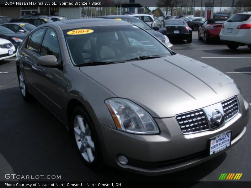 Spirited Bronze / Black 2004 Nissan Maxima 3.5 SL