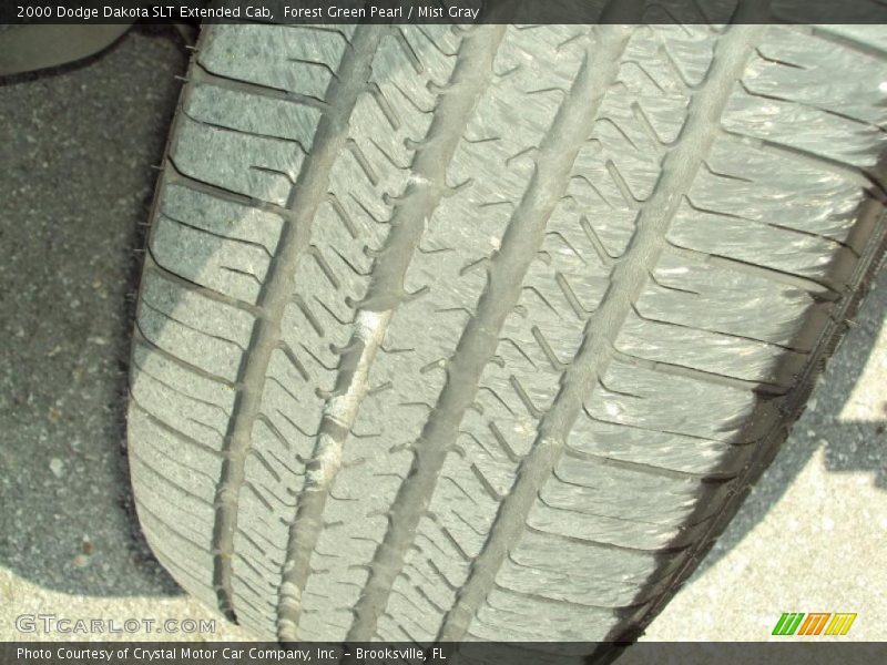 Forest Green Pearl / Mist Gray 2000 Dodge Dakota SLT Extended Cab