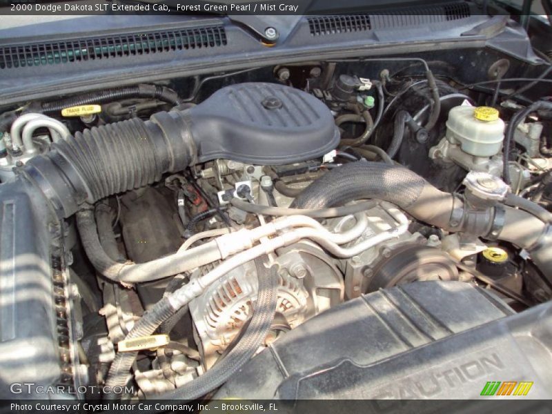 Forest Green Pearl / Mist Gray 2000 Dodge Dakota SLT Extended Cab