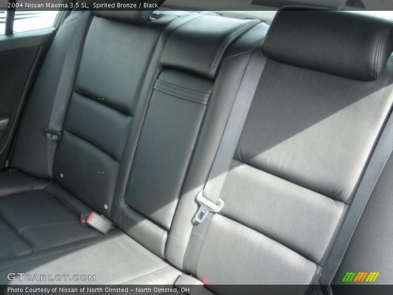 Spirited Bronze / Black 2004 Nissan Maxima 3.5 SL