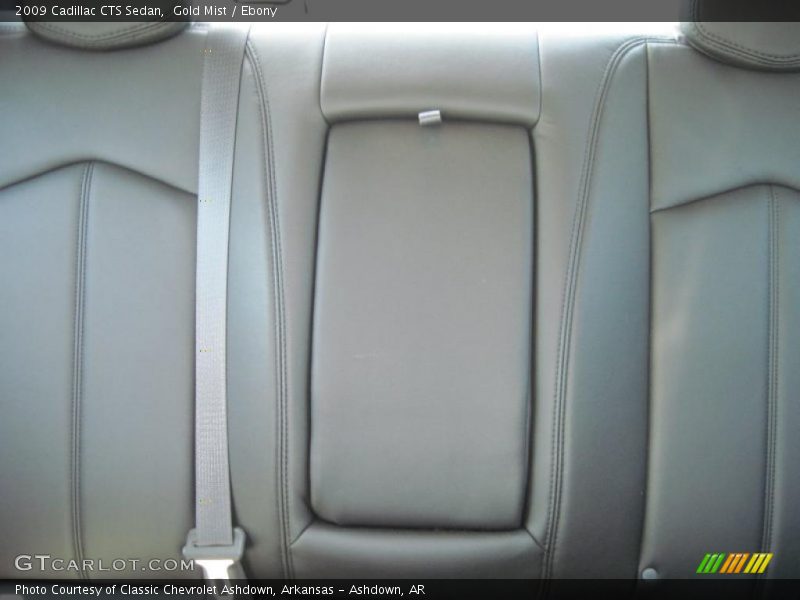 Gold Mist / Ebony 2009 Cadillac CTS Sedan