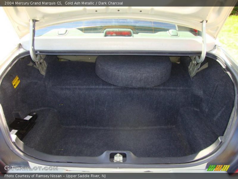 Gold Ash Metallic / Dark Charcoal 2004 Mercury Grand Marquis GS