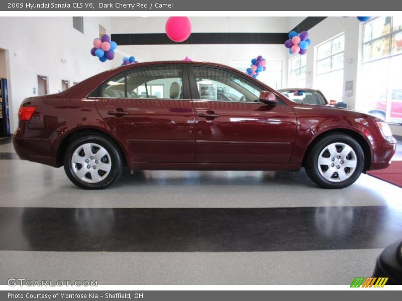 Dark Cherry Red / Camel 2009 Hyundai Sonata GLS V6