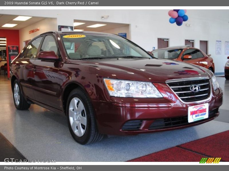 Dark Cherry Red / Camel 2009 Hyundai Sonata GLS V6