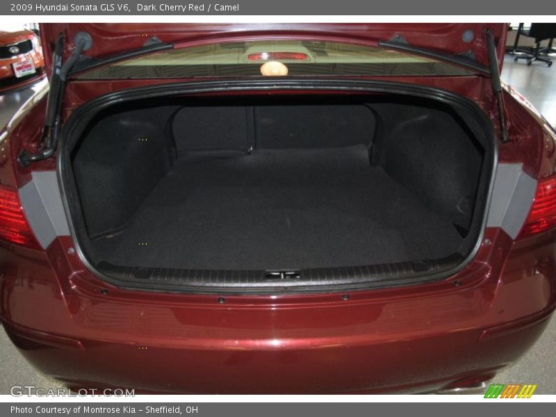Dark Cherry Red / Camel 2009 Hyundai Sonata GLS V6