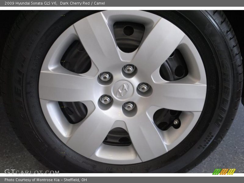 Dark Cherry Red / Camel 2009 Hyundai Sonata GLS V6
