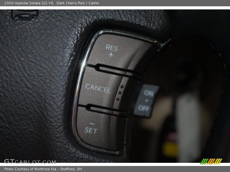 Dark Cherry Red / Camel 2009 Hyundai Sonata GLS V6