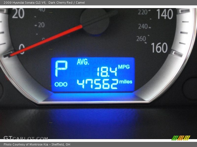 Dark Cherry Red / Camel 2009 Hyundai Sonata GLS V6
