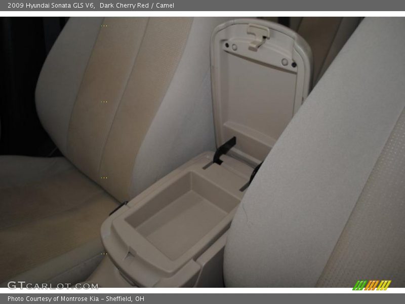 Dark Cherry Red / Camel 2009 Hyundai Sonata GLS V6
