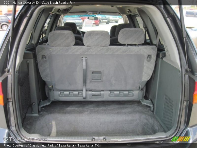 Sage Brush Pearl / Fern 2004 Honda Odyssey EX
