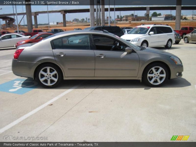 Spirited Bronze / Black 2004 Nissan Maxima 3.5 SE