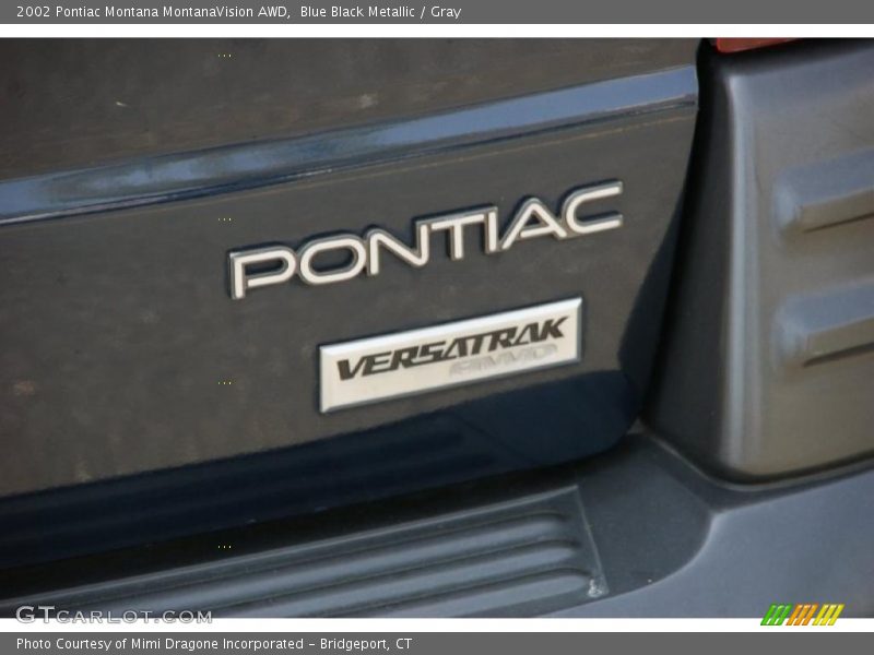 Blue Black Metallic / Gray 2002 Pontiac Montana MontanaVision AWD