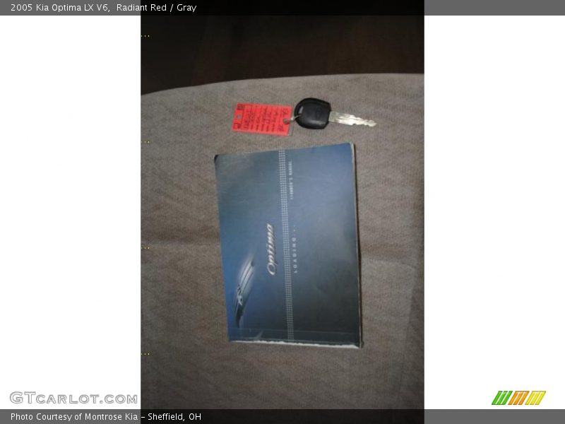 Radiant Red / Gray 2005 Kia Optima LX V6