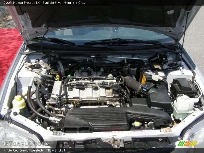Sunlight Silver Metallic / Gray 2003 Mazda Protege LX