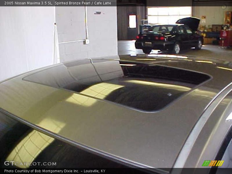Spirited Bronze Pearl / Cafe Latte 2005 Nissan Maxima 3.5 SL