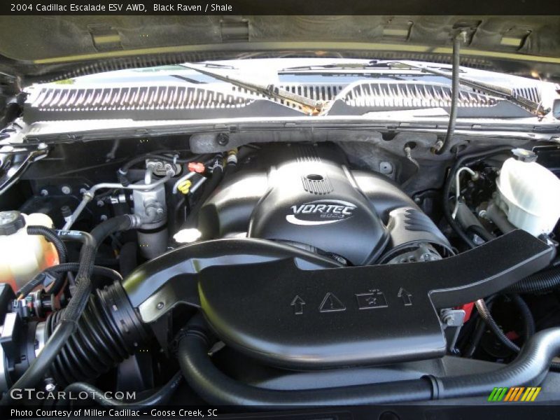 Black Raven / Shale 2004 Cadillac Escalade ESV AWD