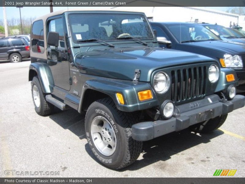 Forest Green / Camel/Dark Green 2001 Jeep Wrangler Sahara 4x4