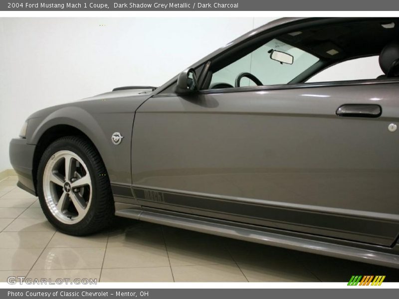 Dark Shadow Grey Metallic / Dark Charcoal 2004 Ford Mustang Mach 1 Coupe