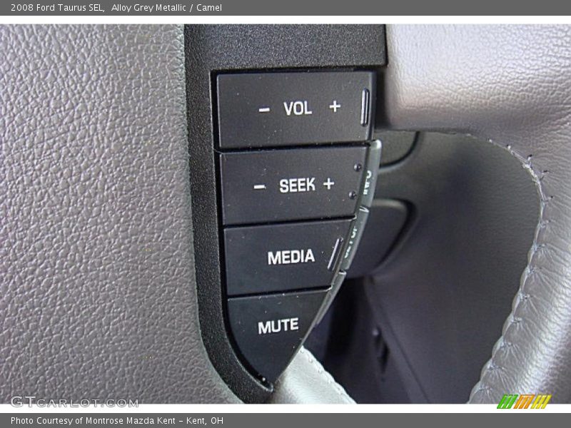 Alloy Grey Metallic / Camel 2008 Ford Taurus SEL