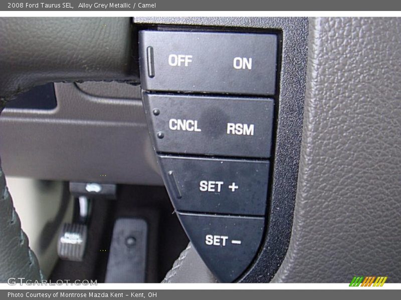 Alloy Grey Metallic / Camel 2008 Ford Taurus SEL