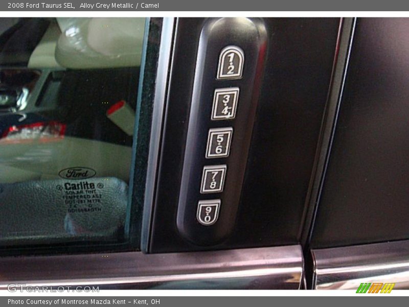 Alloy Grey Metallic / Camel 2008 Ford Taurus SEL