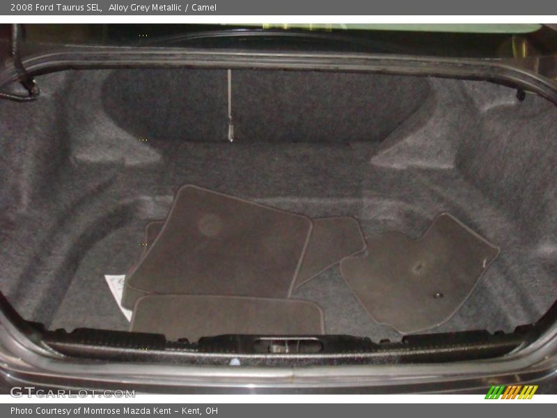 Alloy Grey Metallic / Camel 2008 Ford Taurus SEL