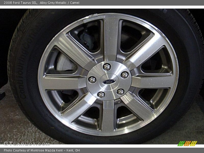 Alloy Grey Metallic / Camel 2008 Ford Taurus SEL
