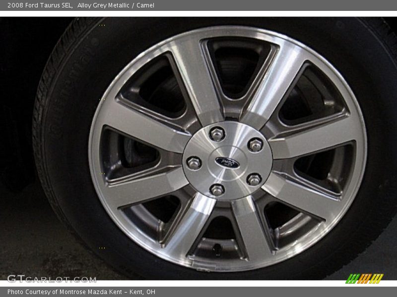 Alloy Grey Metallic / Camel 2008 Ford Taurus SEL