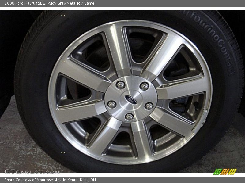 Alloy Grey Metallic / Camel 2008 Ford Taurus SEL