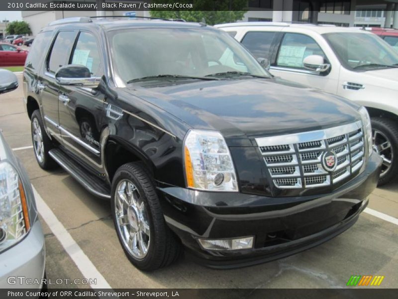 Black Raven / Cashmere/Cocoa 2010 Cadillac Escalade Luxury