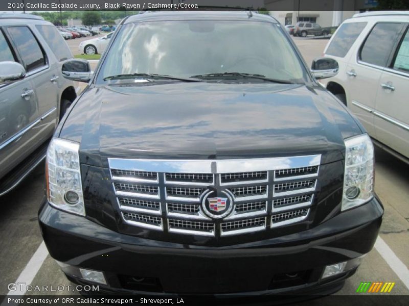 Black Raven / Cashmere/Cocoa 2010 Cadillac Escalade Luxury